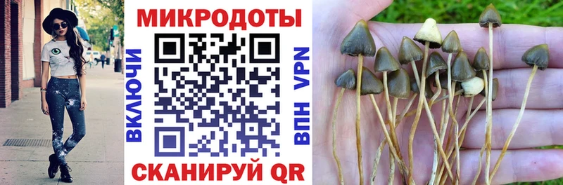 Галлюциногенные грибы мицелий  Купить закладки  Саки 